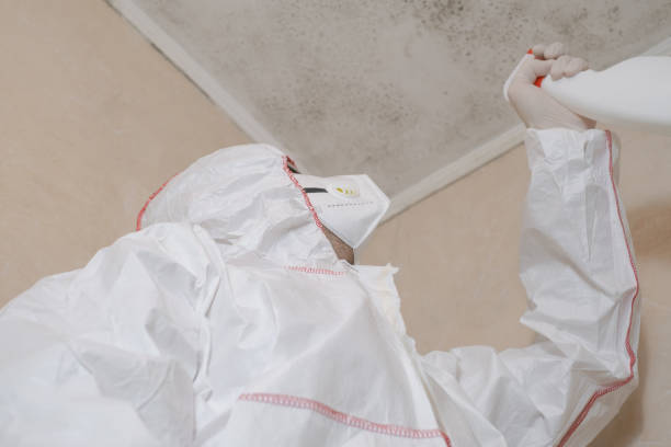 Best Mold Cleaning Services  in Mcallen, TX