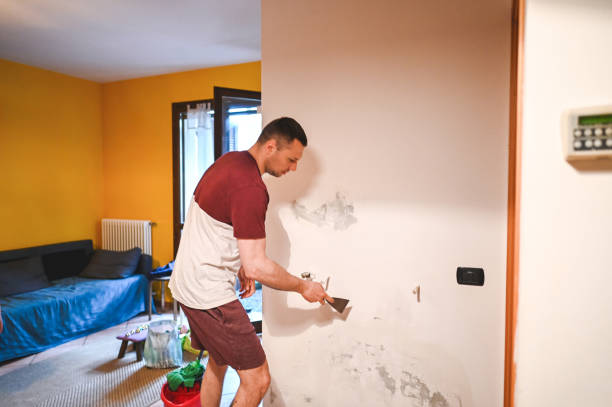 Best Attic Mold Removal  in Mcallen, TX